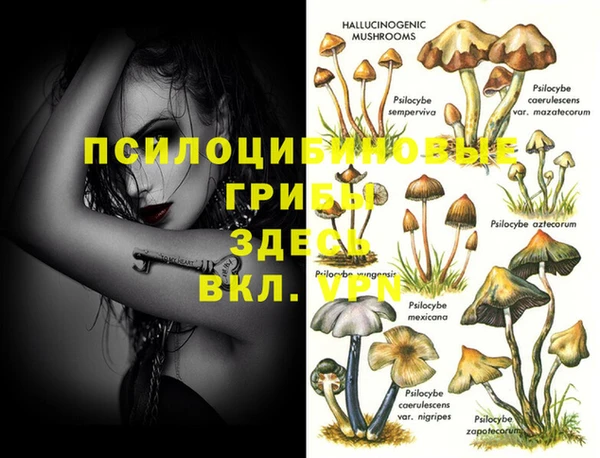 MDMA Premium VHQ Абинск