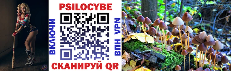 маркетплейс наркотические препараты  Тутаев  Псилоцибиновые грибы Psilocybine cubensis 